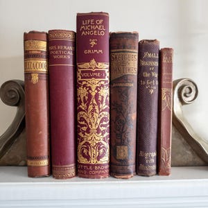 May include: A collection of antique books with maroon and brown covers, displayed on a white shelf. The titles include "Life of Michael Angelo," "Sketches of Own Times," and "Mrs. Hemans Poetical Works." The books have gold lettering and decorative patterns.