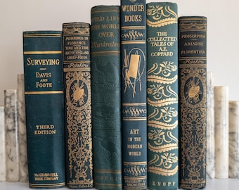 Green & Turquoise Vintage Book Bundle (Set of 6)