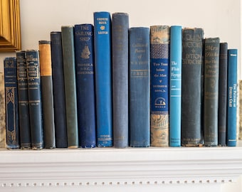 Vintage faded & worn hardcover books (Set of 16)- Blues