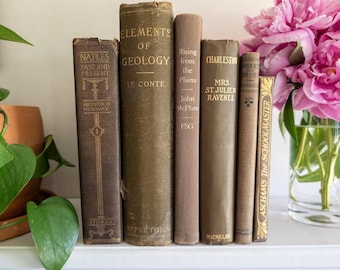 Libros vintage marrones - Decoración neutra para el hogar