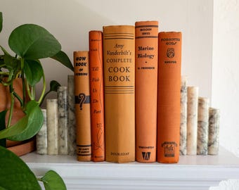 Lote de libros vintage naranjas - Decoración para el hogar de colores brillantes
