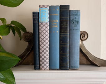 Blue vintage book bundle