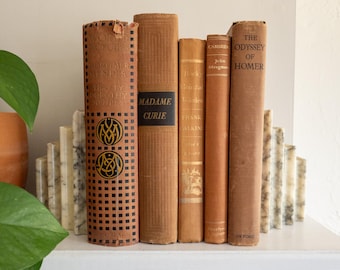 Orange vintage books - set of 5