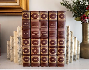 Marcel Prevost Novels - antique leatherbound books