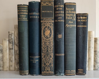 Green & Blue Vintage Book Bundle (Set of 6)