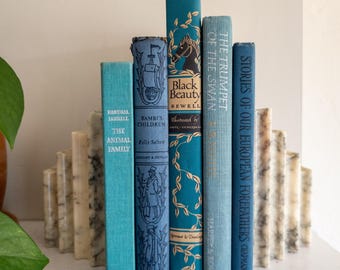 Vintage Children's Book Bundle (Set of 5) | old blue books