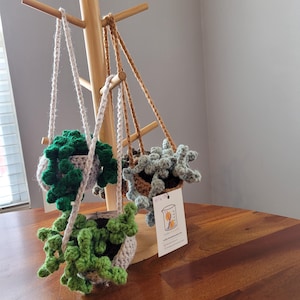 May include: Three crocheted hanging planters with green and gray plants. The planters are hanging from a wooden rack. The plants are made of yarn and are in the shape of succulents.