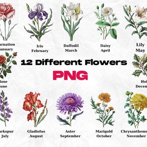 Op de afbeelding: Een grafiek met 12 verschillende bloemen, elk met een naam en de maand waarin ze bloeien. De bloemen zijn ge&iuml;llustreerd in een vintage stijl met een witte achtergrond.