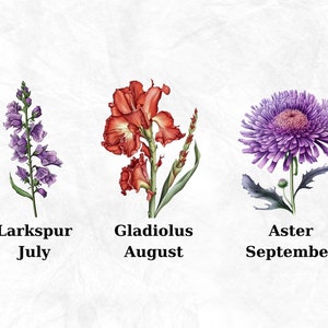 Op de afbeelding: Drie aquarel illustraties van bloemen met hun namen en maanden eronder. Een paarse aster bloem met groene bladeren, een rode gladiool bloem met groene bladeren en een paarse ridderspoor bloem met groene bladeren.