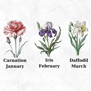 Op de afbeelding: Een vintage illustratie van drie bloemen met hun bijbehorende maanden: een roze anjer voor januari, een paarse iris voor februari en een witte narcis voor maart.