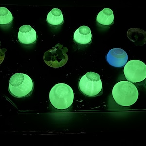 GlowSphere Aero Garden Protective Pod Caps