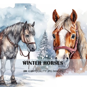 Watercolor Winter Horse Clipart Set: Farm Animal Art (Digital Download)