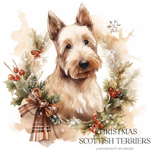 10 acuarela Navidad Scottish Terriers Clipart Set, Terriers Retrato, Perros, Álbum de recortes, Arte de pared I Descarga digital, 10 JPG de alta calidad