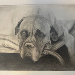 Artist For Hire