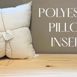 Indoor/Outdoor Polyester Pillow Insert, Pillow Form, Hypoallergenic, Custom Pillows