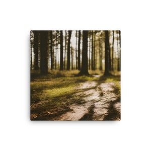 Woodland - Thin canvas