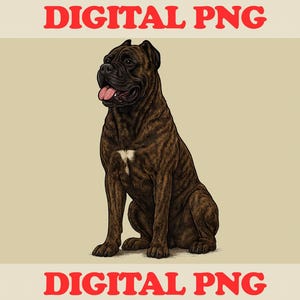 May include: Digital PNG graphic of a sitting brown brindle Cane Corso dog with its tongue out. The dog has a white patch on its chest. The words "DIGITAL PNG" are in red at the top and bottom of the image.