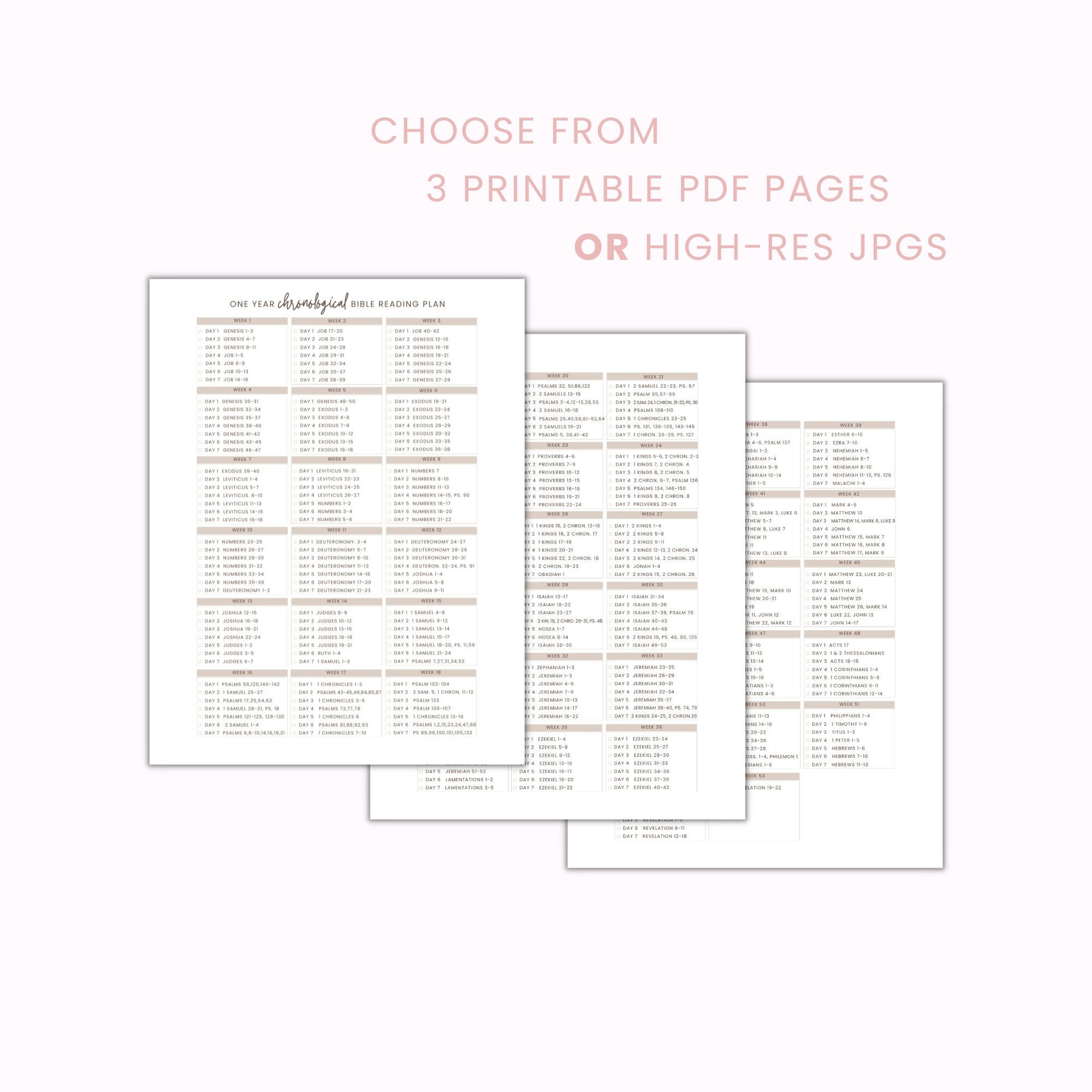 Chronological Bible Reading Plan Bible Reading Tracker One Year Bible