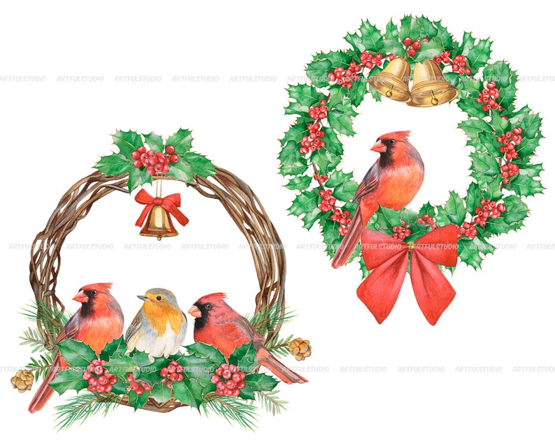 Watercolor christmas wreaths clipart-circle frame with winter birds PNG-red and green holiday-christmas composition-red cardinal, robin bird image 7