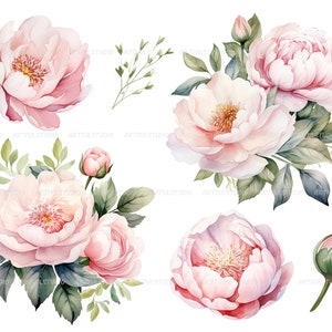 Watercolor pastel peonies clipart Dusty Pink Blush Light Floral Clip Art pink floral graphic pastel vintage peonies-wedding flowers PNG image 8