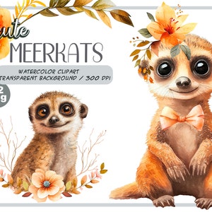 Watercolor cute baby meerkats clipart-Realistic meerkat with flower-Baby Shower Graphics-Nursery Decor Wall Art-African Animal's portrait image 1