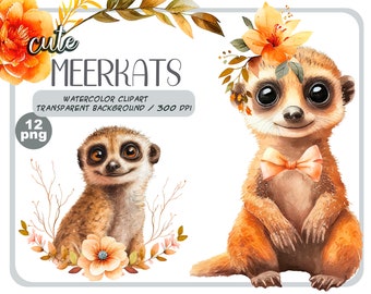 Watercolor cute baby meerkats clipart-Realistic meerkat with flower-Baby Shower Graphics-Nursery Decor Wall Art-African Animal's portrait