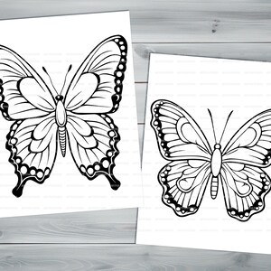 Beautiful butterflies PDF coloring book Printable colouring pages for kids Cartoon butterfly thick outlines for children's creativity image 7