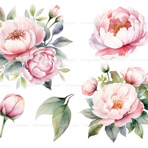 Watercolor pastel peonies clipart Dusty Pink Blush Light Floral Clip Art pink floral graphic pastel vintage peonies-wedding flowers PNG image 3