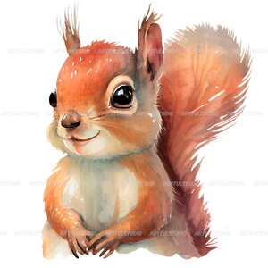 Watercolor cute baby squirrels clipart-Realistic squirrel with flower-Baby Shower Graphics-Nursery Decor Wall Art-Woodland Animal-pet png image 4