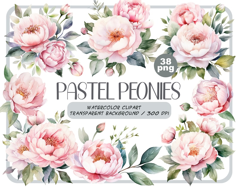 Watercolor pastel peonies clipart Dusty Pink Blush Light Floral Clip Art pink floral graphic pastel vintage peonies-wedding flowers PNG image 1