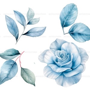 Watercolor blue delicate roses clipart flower illustration floral arrangements, dusty light blue rose pastel vintage wedding flowers image 8