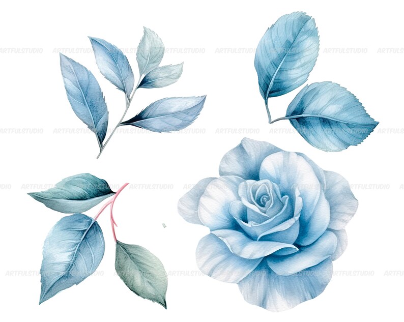 Watercolor blue delicate roses clipart flower illustration floral arrangements, dusty light blue rose pastel vintage wedding flowers image 8