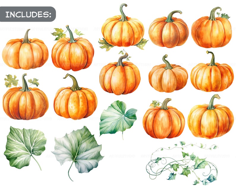 Watercolor halloween pumpkins clipart autumn realistic plant harvest floral compositions-botanical illustration-pumpkin transparent back image 2