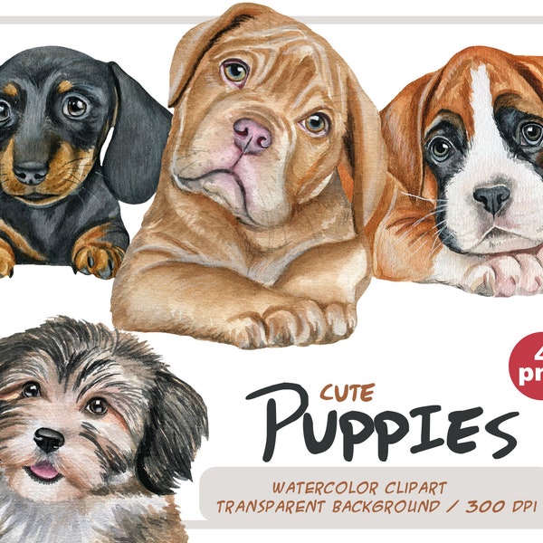 Watercolor puppies clipart-Cute puppy graphic-Realistic pet portrait-dog png-Dachshund,Dogue de Bordeaux,boxer,Havanese-Instant Download