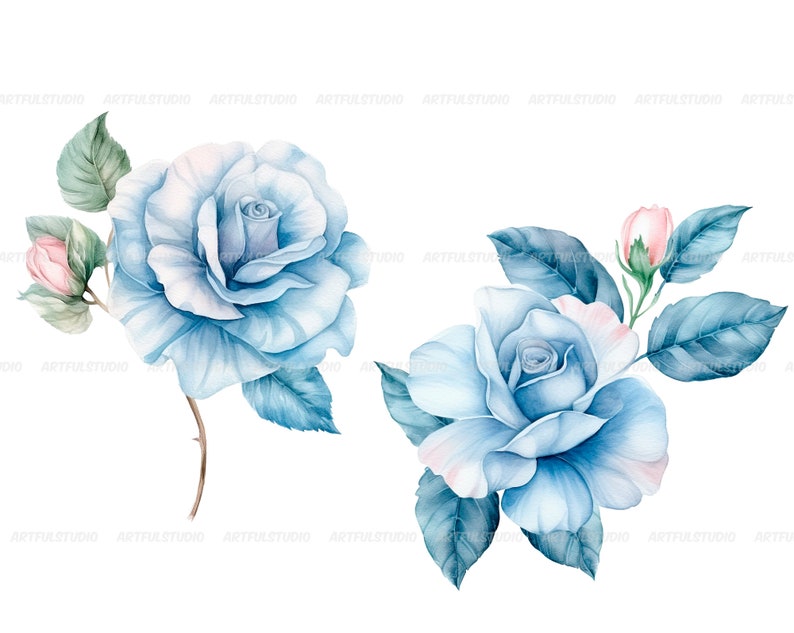 Watercolor blue delicate roses clipart flower illustration floral arrangements, dusty light blue rose pastel vintage wedding flowers image 7