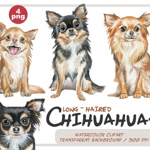 Watercolor chihuahua clipart - realistic portraits of dogs - dog breeds illustrations - chihuahua sublimation - small dogs - for dogs lover