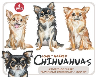 Watercolor chihuahua clipart - realistic portraits of dogs - dog breeds illustrations - chihuahua sublimation - small dogs - for dogs lover