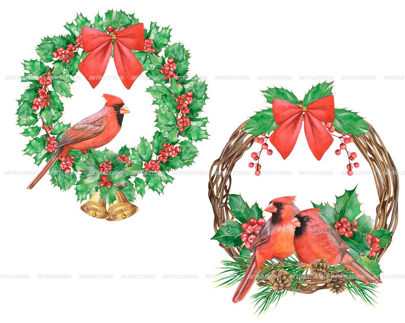 Watercolor christmas wreaths clipart-circle frame with winter birds PNG-red and green holiday-christmas composition-red cardinal, robin bird image 6