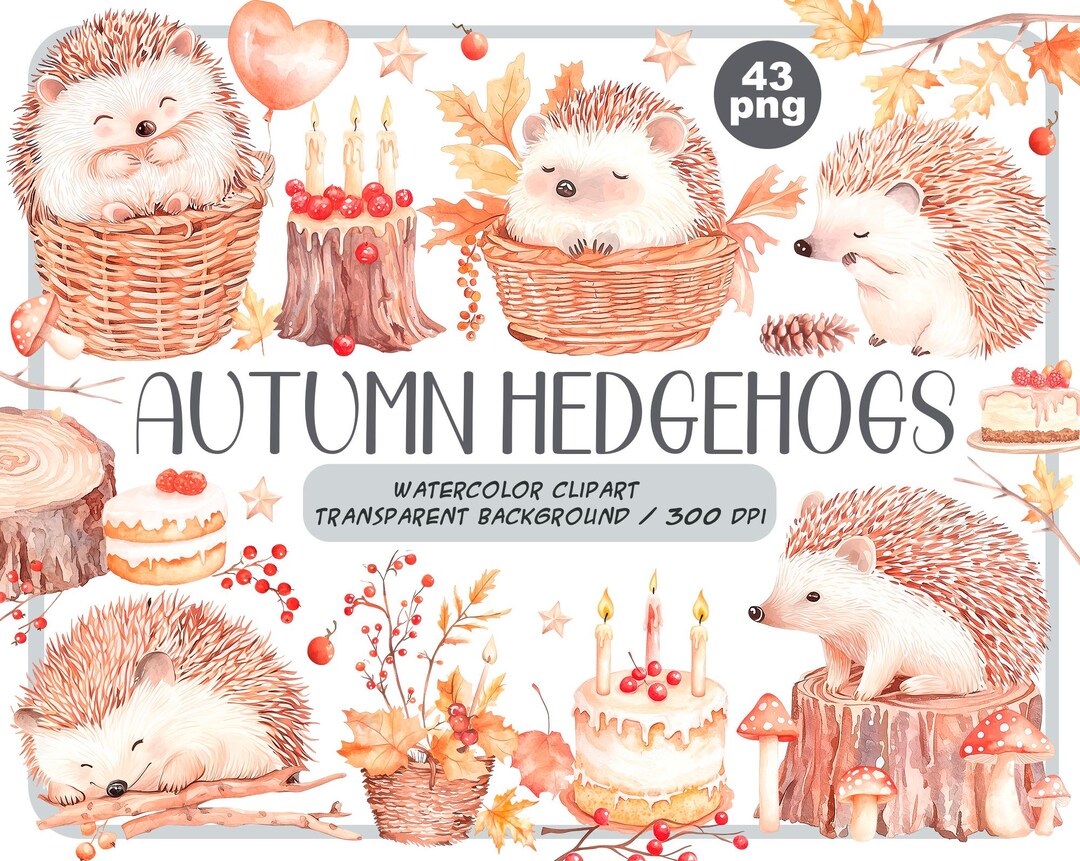 Watercolor Autumn Hedgehogs Clipart - Cute Cartoon Hedgehog Png - Baby ...