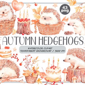 Watercolor autumn hedgehogs clipart - cute cartoon hedgehog png - Baby Shower Graphic -children nursery style-pastel tender digital stickers