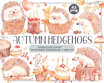 Aquarell Herbst Igel Clipart: 43 PNG Elemente (Digitale Aufkleber)