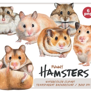 Watercolor hamsters clipart-Realistic Pets portraits-Rodent Illustrations-Golden Syrian and winter white dwarf Djungarian-Instant Download