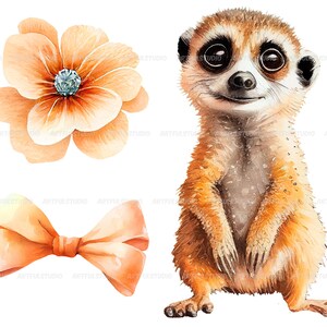 Watercolor cute baby meerkats clipart-Realistic meerkat with flower-Baby Shower Graphics-Nursery Decor Wall Art-African Animal's portrait image 4