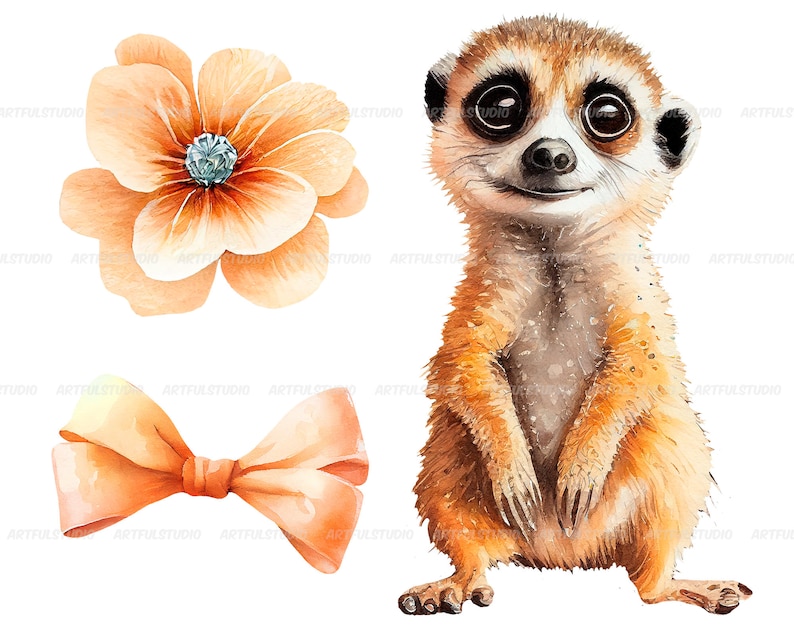 Watercolor cute baby meerkats clipart-Realistic meerkat with flower-Baby Shower Graphics-Nursery Decor Wall Art-African Animal's portrait image 4