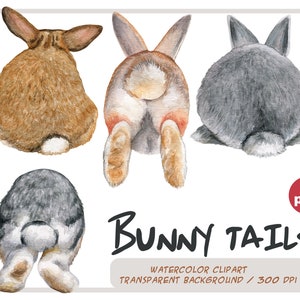 Watercolor bunny tails clipart - Realistic bunnies -Decorative breeds of rabbits-cute fluffy pet portrait-Easter graphic-Rabbits sublimation