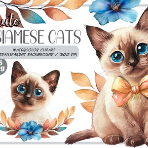Watercolor cute baby siamese cats clipart-Realistic siamese kittens with flower-Baby Shower Graphics-Nursery Decor Wall Art-pet portrait