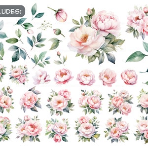 Watercolor pastel peonies clipart Dusty Pink Blush Light Floral Clip Art pink floral graphic pastel vintage peonies-wedding flowers PNG image 2