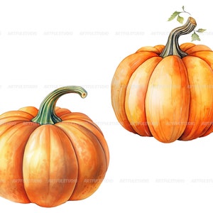 Watercolor halloween pumpkins clipart autumn realistic plant harvest floral compositions-botanical illustration-pumpkin transparent back image 7