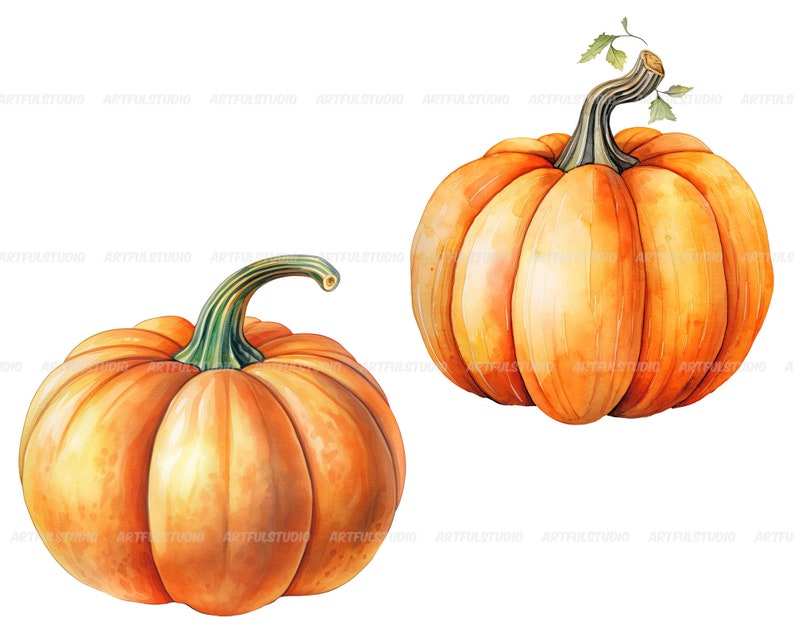 Watercolor halloween pumpkins clipart autumn realistic plant harvest floral compositions-botanical illustration-pumpkin transparent back image 7