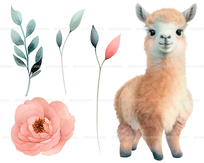 Watercolor cute baby llamas clipart-Realistic lama with flower-Baby Shower Graphics-Nursery Decor Wall Art-American Animal-alpaca portrait image 4